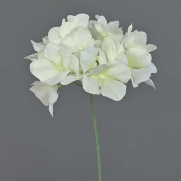Hortensia decorativa FUHUA, crema, 25cm