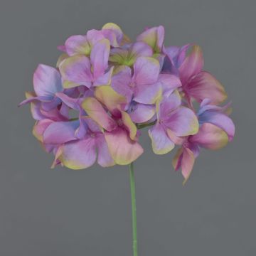 Hortensia decorativa FUHUA, rosa-verde, 25cm