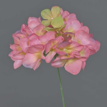 Hortensia decorativa FUHUA, rosa-crema, 25cm