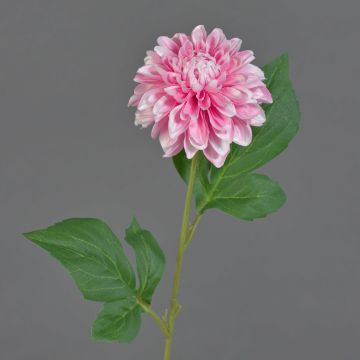 Dahlia artificial WANRU, rosa-fucsia, 50cm Dahlia artificial WANRU, rosa-fucsia, 50cm