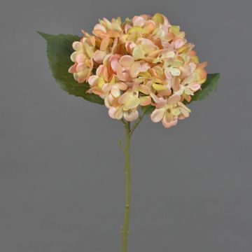 Hortensia artificial QILIN, amarillo-rosa, 35cm