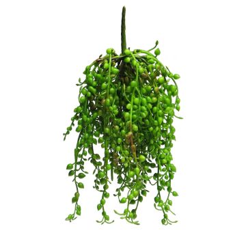 Senecio colgante de plástico RUIAN en varilla de ajuste, verde, 25cm