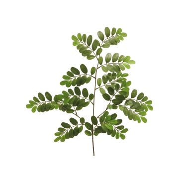 Rama falsa de robinia WENLIN, verde, 70cm