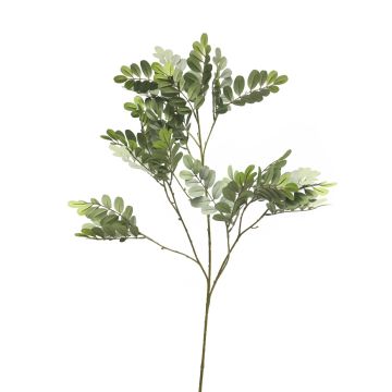 Rama decorativa de robinia WENLIN, gris-verde, 100cm
