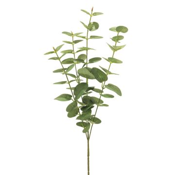 Rama artificial de eucalipto MINJIA, verde, 65cm