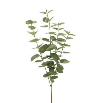 Rama artificial de eucalipto MINJIA, verde-gris, 65cm Rama artificial de eucalipto MINJIA, verde-gris, 65cm