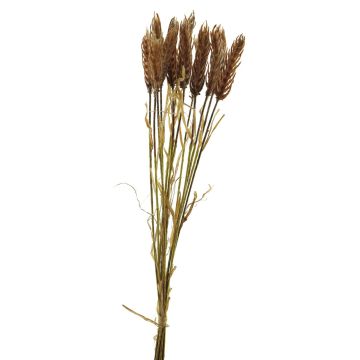 Ramo artificial de trigo YANGMEI, melocotón, 55cm