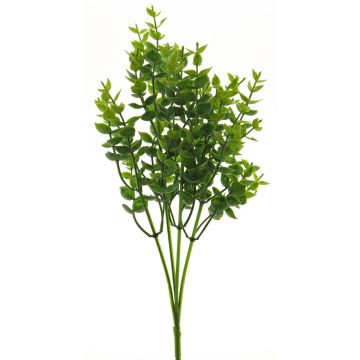 Eucalipto decorativo MINXIA, varilla de ajuste, verde, 35cm Eucalipto decorativo MINXIA, varilla de ajuste, verde, 35cm