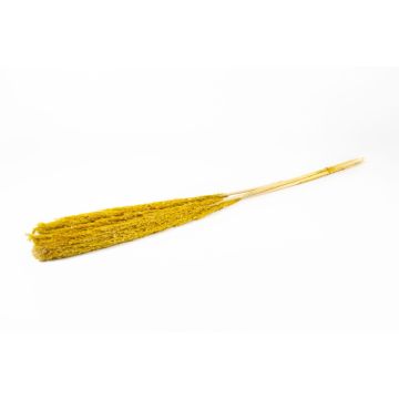 Manojo de juncos secos DONJETA, amarillo, 115-120 cm, Ø 15 cm