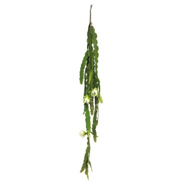 Cactus de hoja decorativa HUALIAN con flores, varilla de ajuste, crema, 100cm