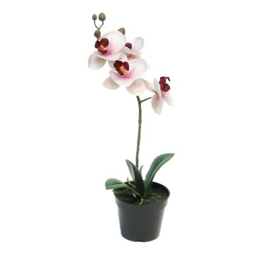 Orquídea Phalaenopsis artificial CHENXU, rosa-crema, 35cm