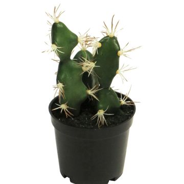 Cactus decorativo de Euphorbia abyssinica ROLIN, verde, 17cm