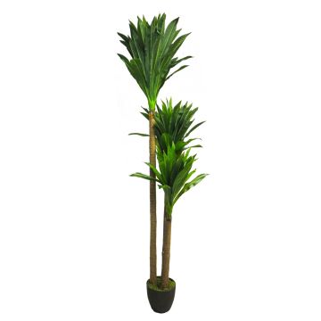 Palmera decorativa de Yucca SHIXING en maceta decorativa, 170cm