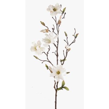Rama de magnolia artificial LILO, crema, 75cm, Ø5-9cm Rama de magnolia artificial LILO, crema, 75cm, Ø5-9cm