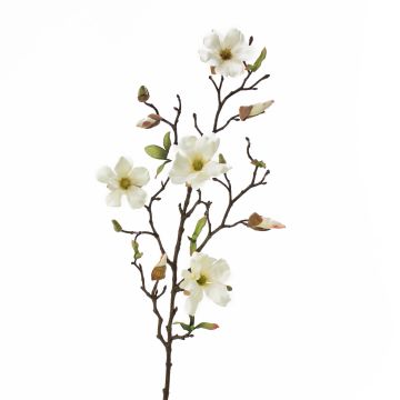 Rama de magnolia artificial LILO, crema, 75cm, &Oslash;5-9cm