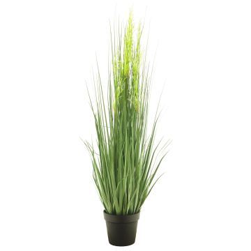 Hierba decorativa de calamagrostis RULIN con espigas, maceta decorativa, verde-amarillo, 130cm
