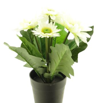 Gerbera artificial XIAOOU en maceta decorativa, crema, 25cm