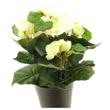 Begonia artificial HETIAN, crema, 25cm