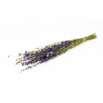 Ramo seco de espuela de caballero AITHANA, azul verdoso, 70 cm, Ø 18 cm