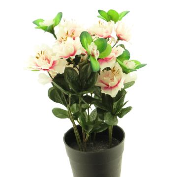 Azalea artificial JINGSHU, rosa-crema, 25cm
