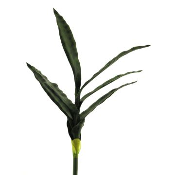 Sansevieria decorativa SUNLIN en varilla de ajuste, verde, 60cm