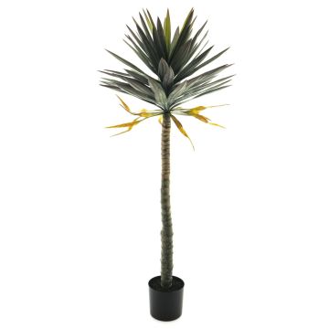 Palmera artificial de Yucca MUYANG, 150cm