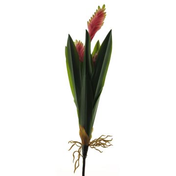 Planta falsa de bromelia MINSHUO con flores, varilla de ajuste, rosa-verde, 55cm