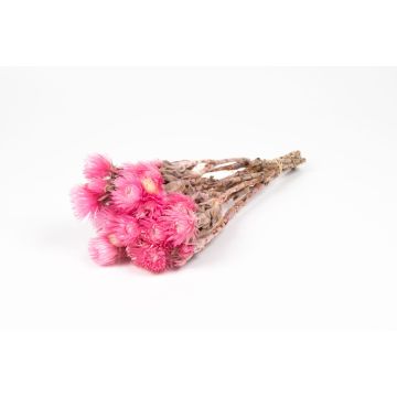 Ramo de flores secas BIBIANA, rosa claro, 30-40 cm, Ø 15 cm