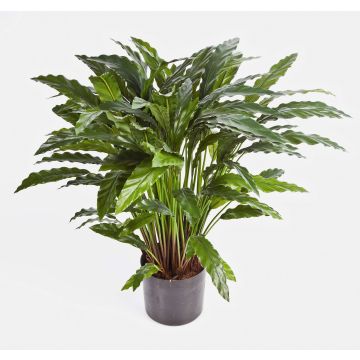 Calathea artificial BAHATI, grande, verde, 85cm