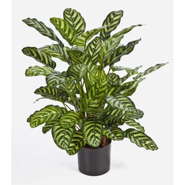 Calathea sintética BADU, pequeño, verde-amarillo, 80cm