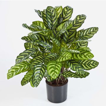 Calathea sintética BADU, grande, verde-amarillo, 80cm