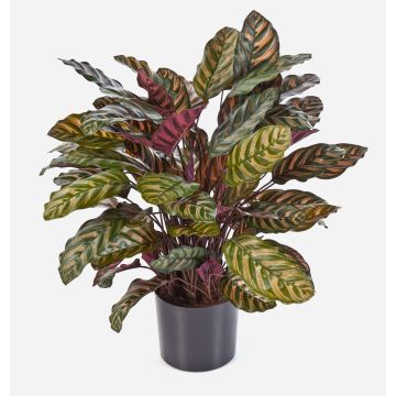 Calathea de imitación BIJAN, grande, verde-rojo, 80cm