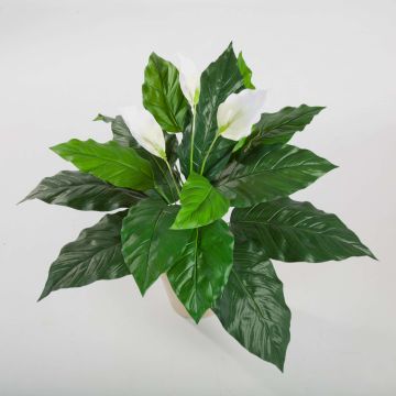 Spathiphyllum artificial ROMY, con flor, vara fijación, blanco, 70cm