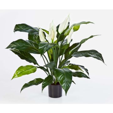 Espatifilo artificial ABBY, con flor, blanco, 75cm