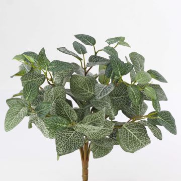 Fittonia artificial JAMIRO, en vara de fijación, verde-blanco, 35cm