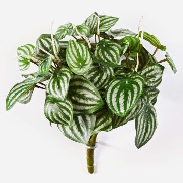 Fittonia artificial JANDIRA, en vara de fijación, verde-blanco, 30cm