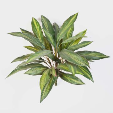 Drácena sintética MERON, vara fijación, verde-amarillo, 50cm Drácena sintética MERON, vara fijación, verde-amarillo, 50cm