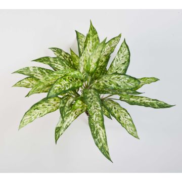 Aglaonema artificial ASMARA, en vara de fijación, verde-blanco, 50cm