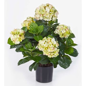 Hortensia flor artificial HARUKA, verde, 55cm, Ø10-15cm