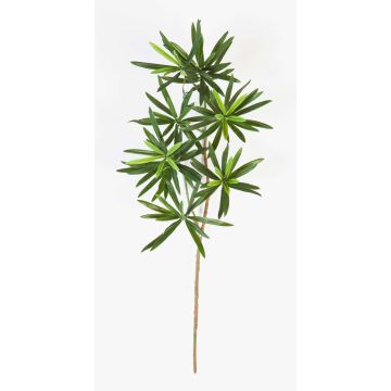 Rama de Podocarpus artificial CHIKO, verde, 50cm