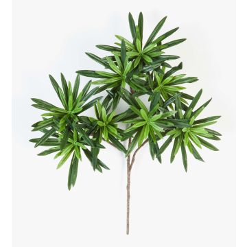 Mini Podocarpus artificial DAICHI, verde, 40cm