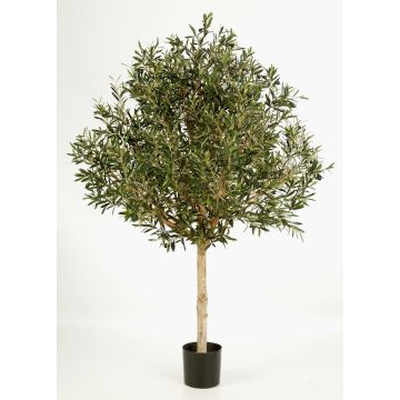 Olivo artificial NIKOLAS, tronco natural, frutos, verde, 210cm