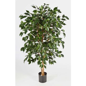 Árbol ficus artificial DECIO, troncos naturales, verde, 150cm Árbol ficus artificial DECIO, troncos naturales, verde, 150cm
