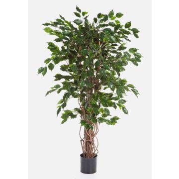 Ficus árbol artificial AMELIO, troncos naturales, verde, 180cm