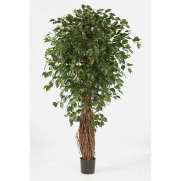 Ficus de imitación LUCIUS, troncos naturales, verde, 150cm