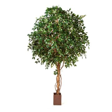 Gran ficus artificial RAMZO, tronco natural, maceta, verde, 315cm
