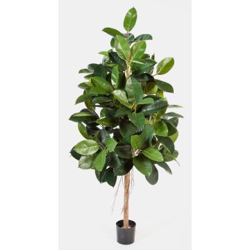 Ficus elastica artificial DEVI, tronco natural, verde, 210cm