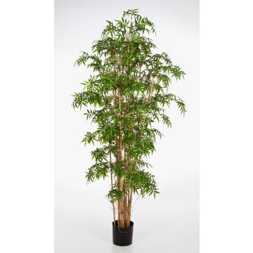 Bambú japonés artificial KAITO, troncos naturales, verde, 200cm Bambú japonés artificial KAITO, troncos naturales, verde, 200cm