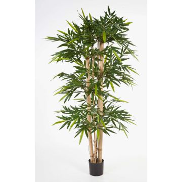 Árbol bambú artificial KISHO, tronco bambú natural, verde, 240cm