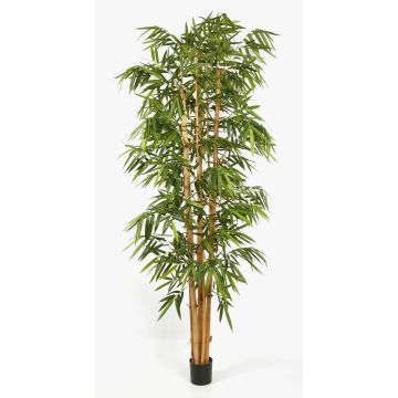 Árbol bambú artificial KIYOSHI, caña bambu natural, verde, 240cm